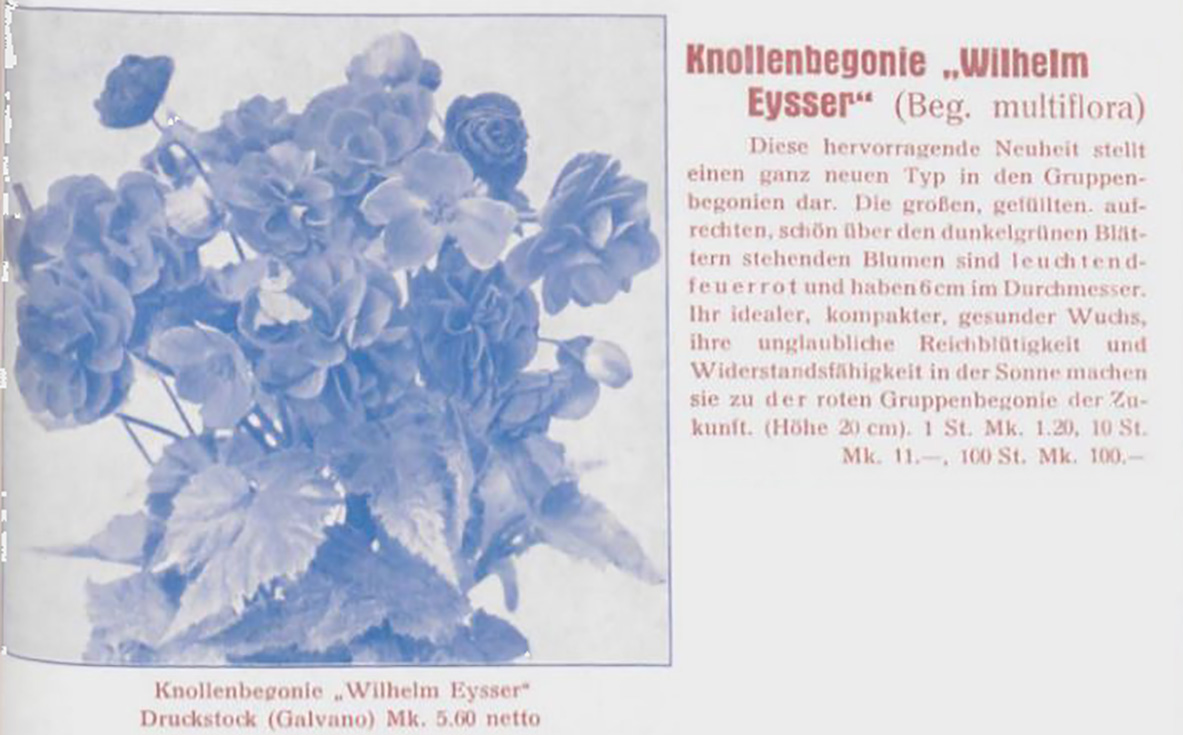 B. ‘Wilhelm Eysser’